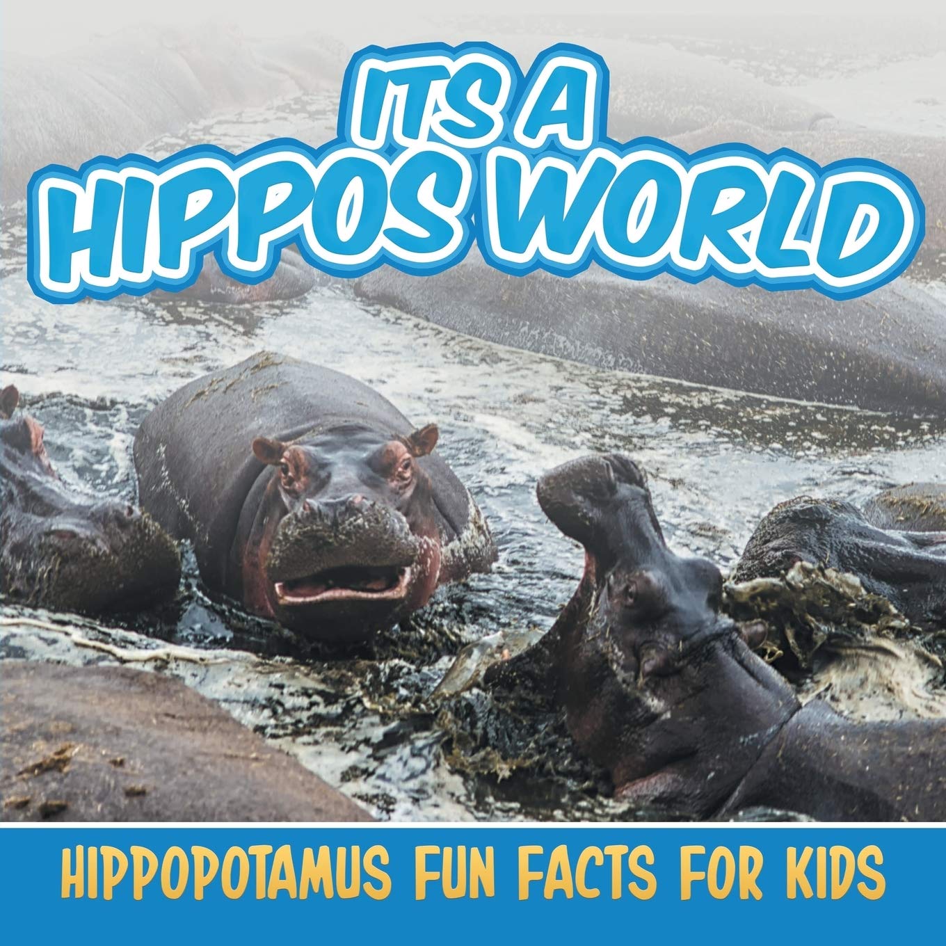 Its a Hippos World: Hippopotamus Fun Facts For Kids,Used