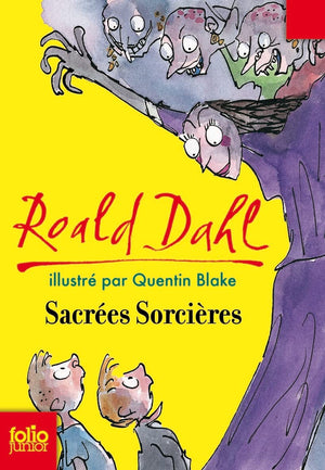 SACREES SORCIERES,Used