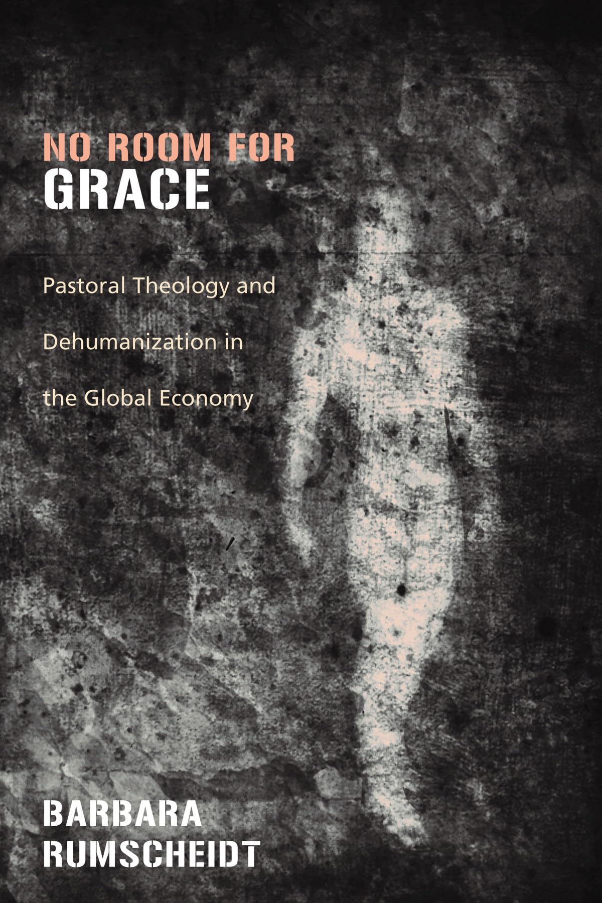 No Room For Grace: Pastoral Theology And Dehumanization In The Global Economy,Used