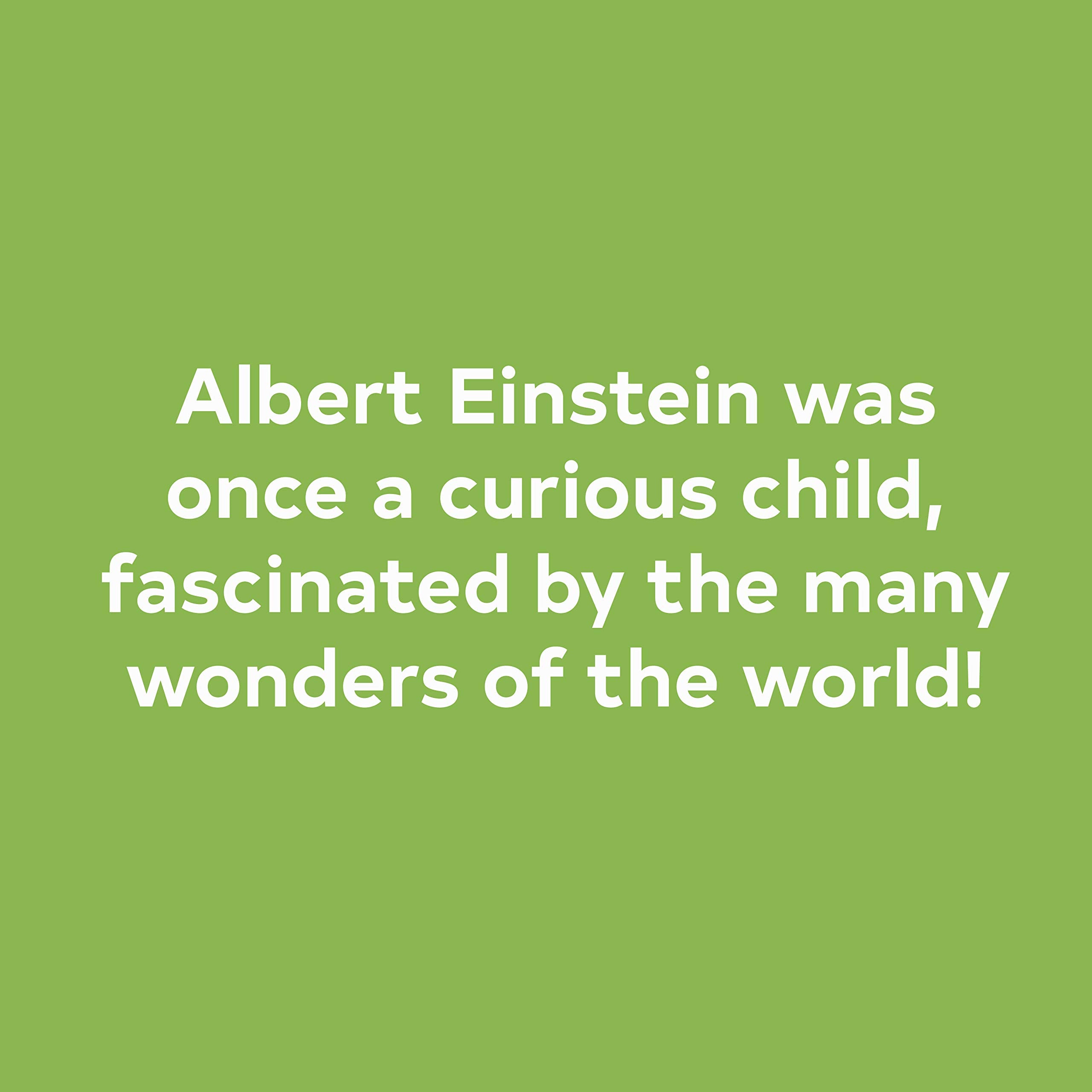 On A Beam Of Light: A Story Of Albert Einstein (Illustrated Biographies By Chronicle Books)-used