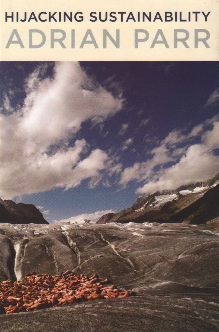 Hijacking Sustainability (Mit Press),Used