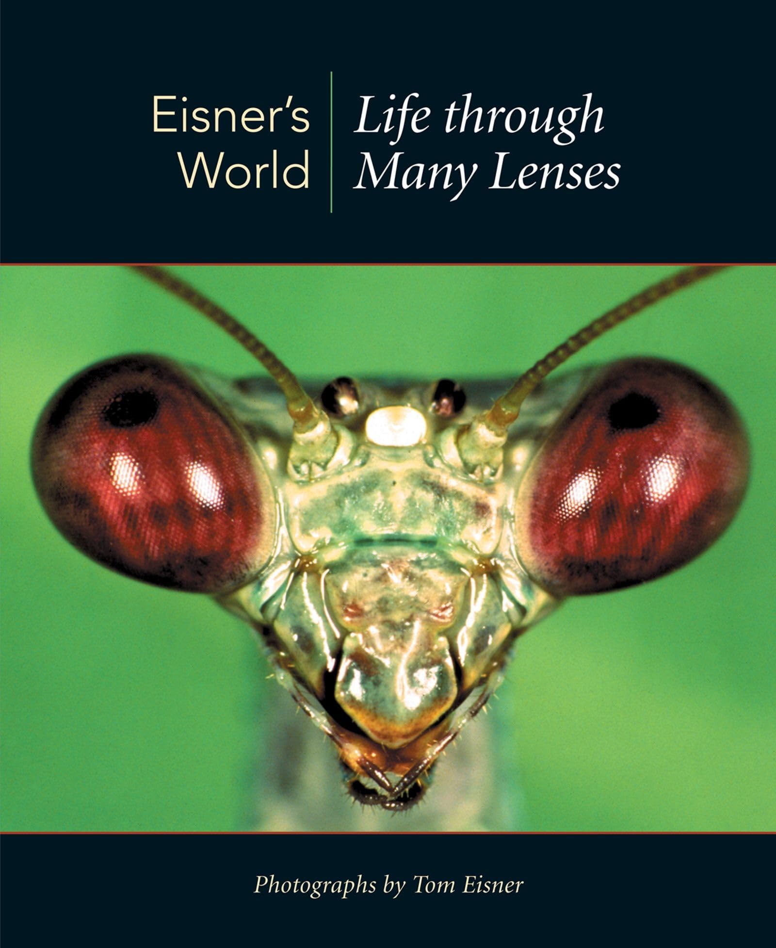Eisner's World: Life through Many Lenses,Used