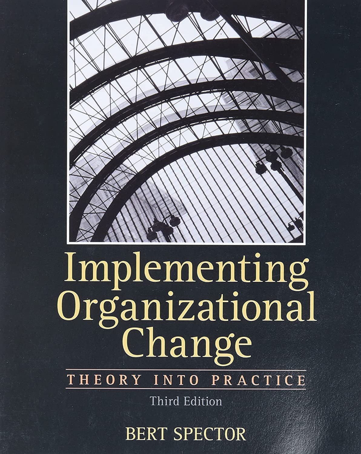 Implementing Organizational Change: Theory Into Practice, 3Rd Edition,Used