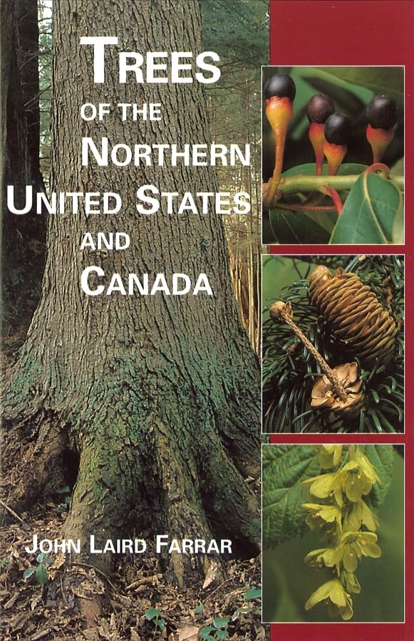Trees Of The Northern United States And Canada,New