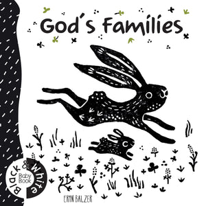 God's Families (Black & White Baby Book),Used
