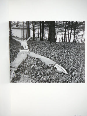 Frostbite: Photographs,Used