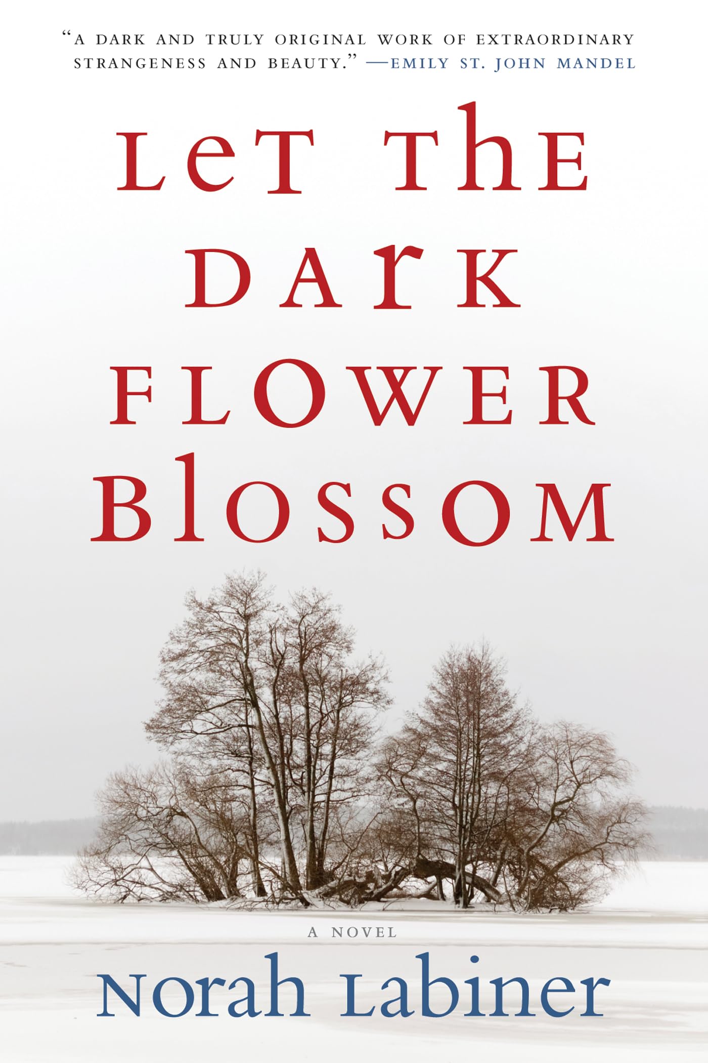 Let The Dark Flower Blossom,Used
