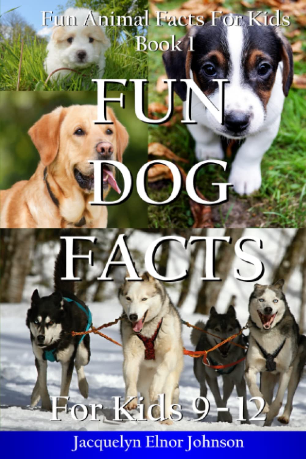 Fun Dog Facts For Kids 9  12 (Fun Animal Facts For Kids)