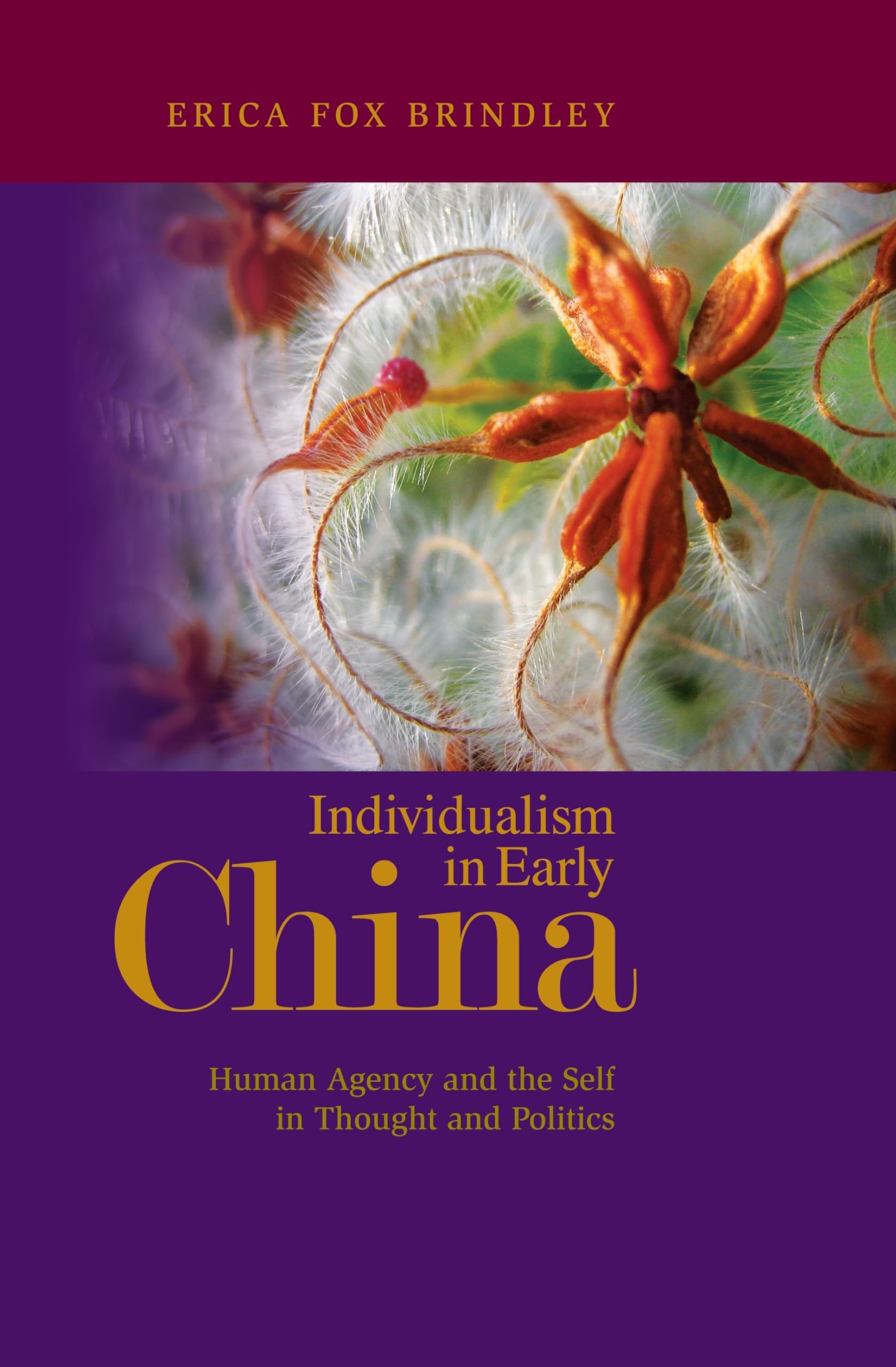 Individualism In Early China: Human Agency And The Self In Thought And Politics,Used