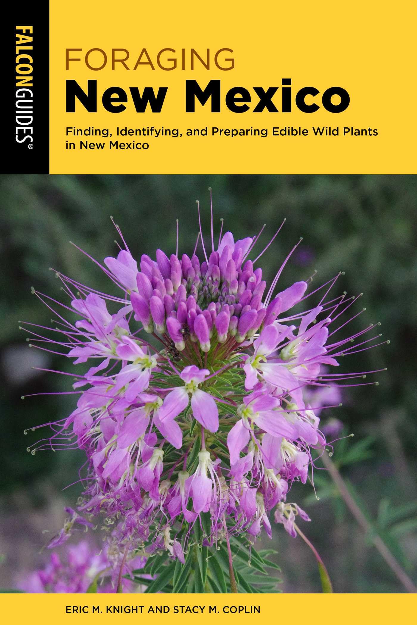 Foraging New Mexico: Finding, Identifying, And Preparing Edible Wild Plants In New Mexico (Foraging Series)