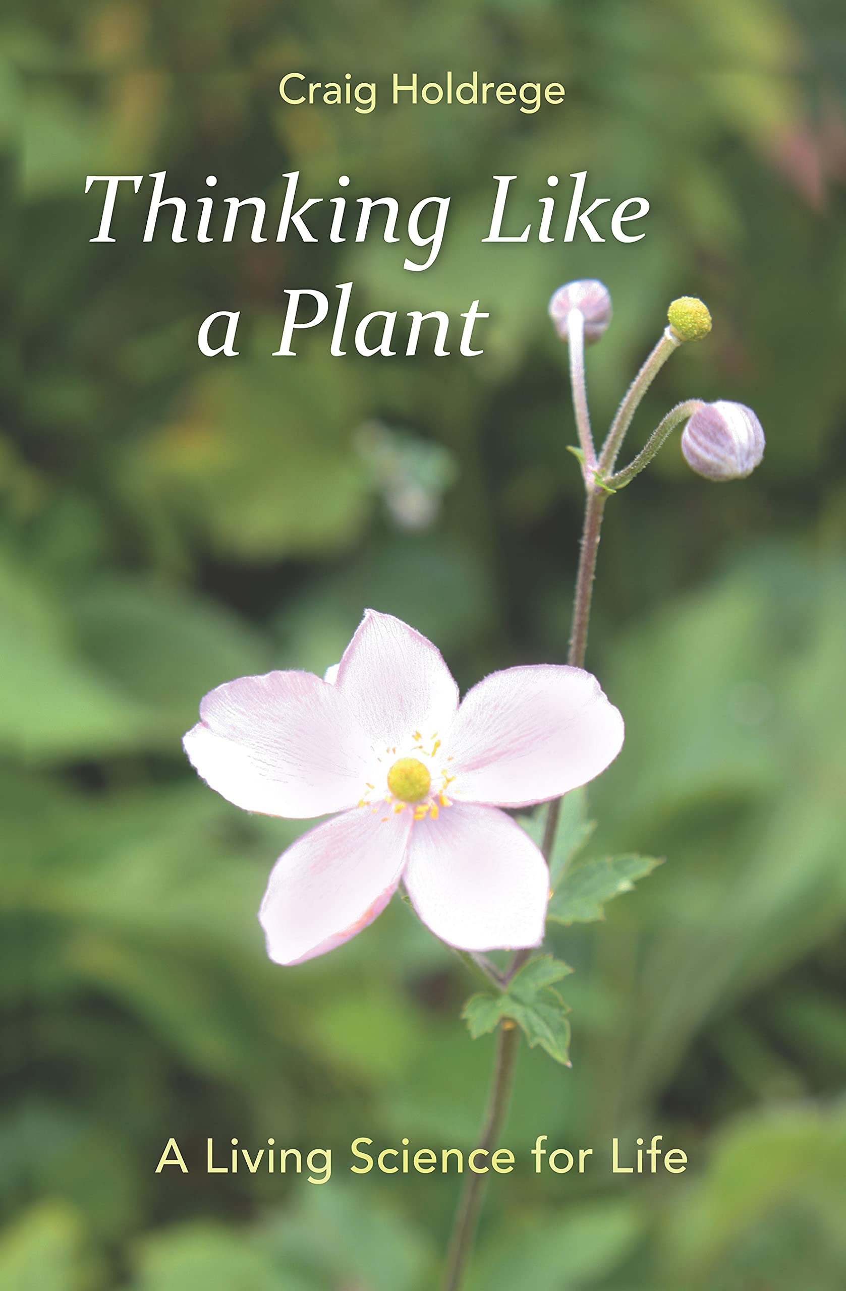 Thinking Like A Plant: A Living Science For Life,New