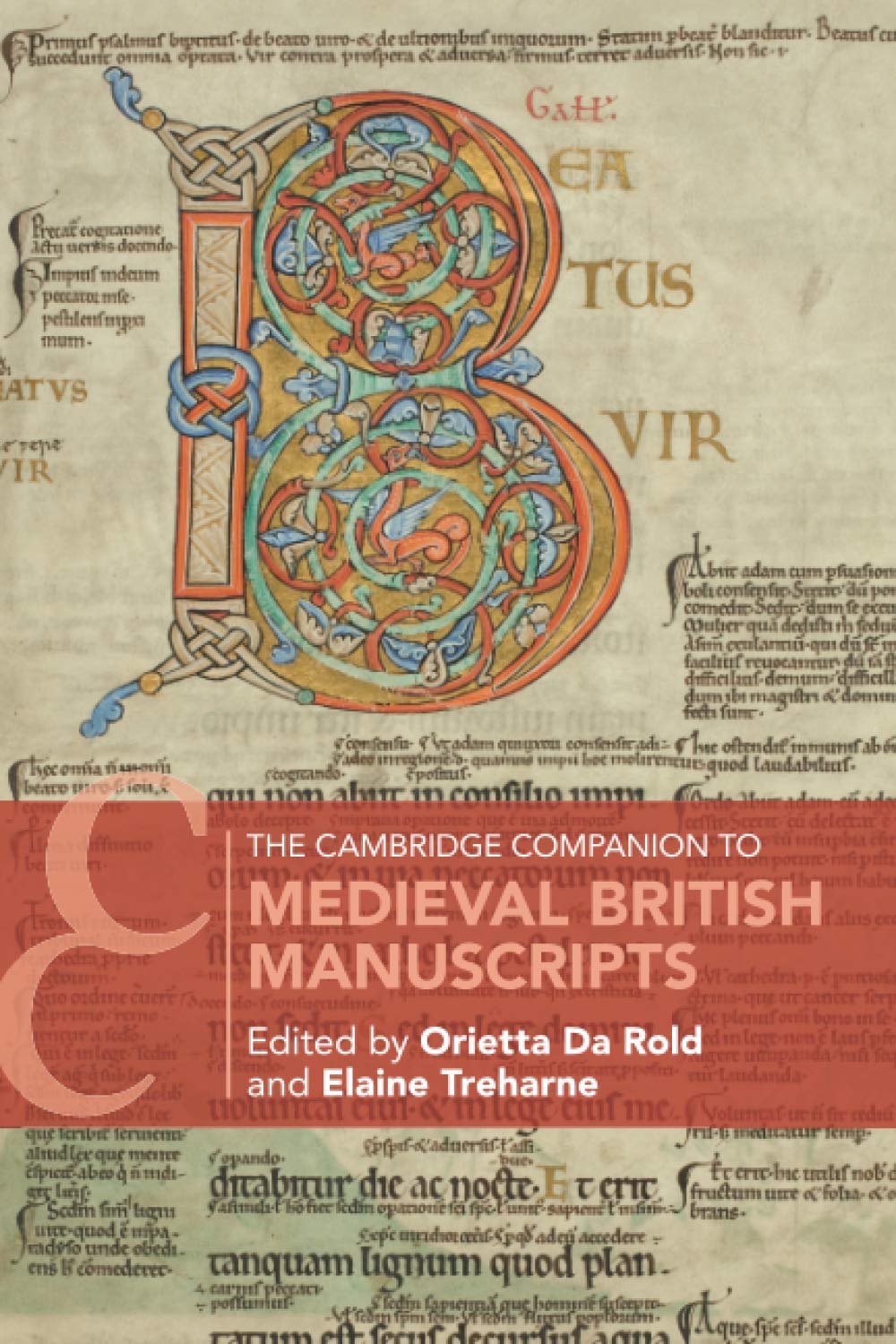 The Cambridge Companion to Medieval British Manuscripts (Cambridge Companions to Literature),Used