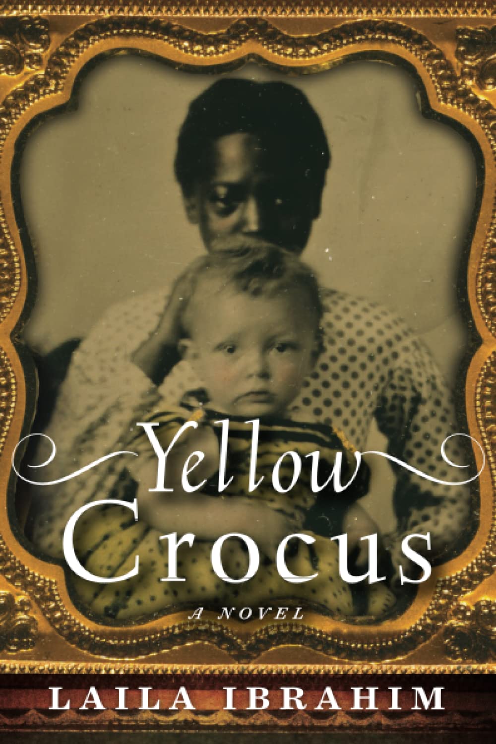 Yellow Crocus,New