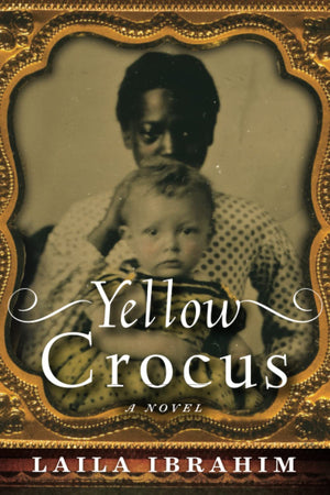 Yellow Crocus,New