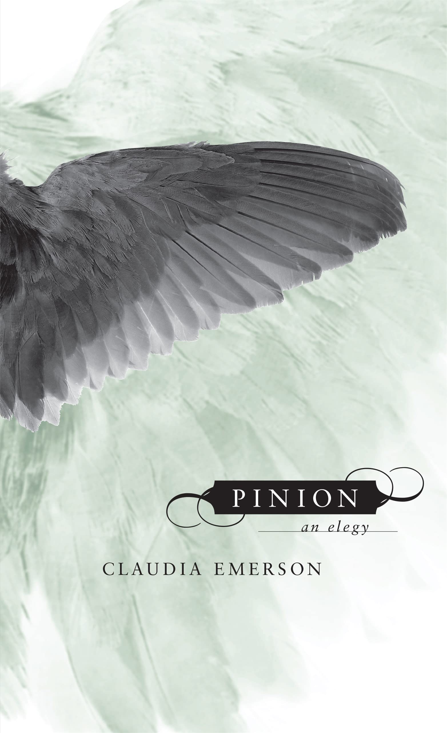Pinion: An Elegy,New
