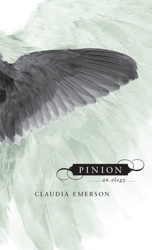 Pinion: An Elegy,New