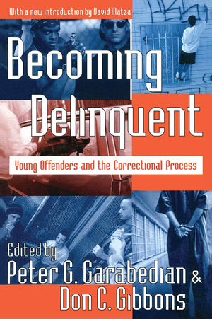 Becoming Delinquent: Young Offenders And The Correctional Process