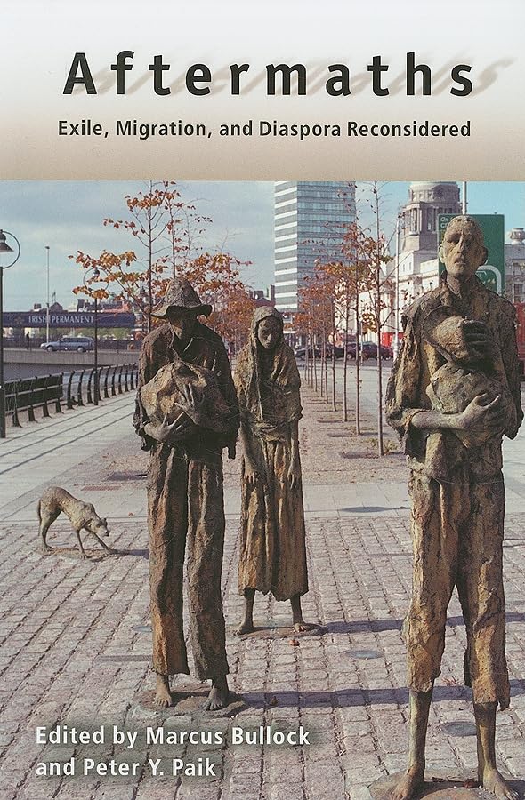 Aftermaths: Exile, Migration, And Diaspora Reconsidered (New Directions In International Studies),Used