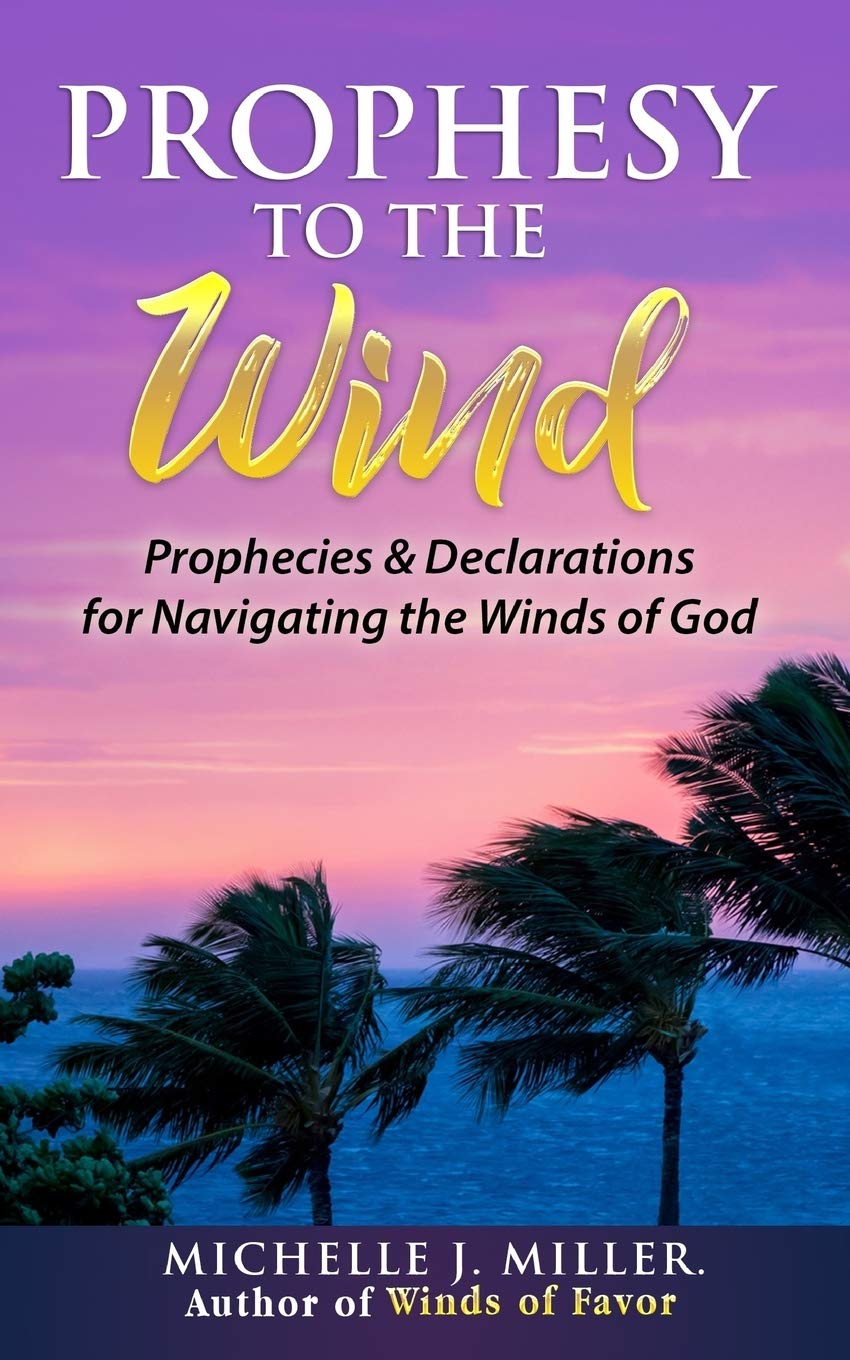 Prophesy to the Wind: Prophecies & Declarations for Navigating the Winds of God,Used