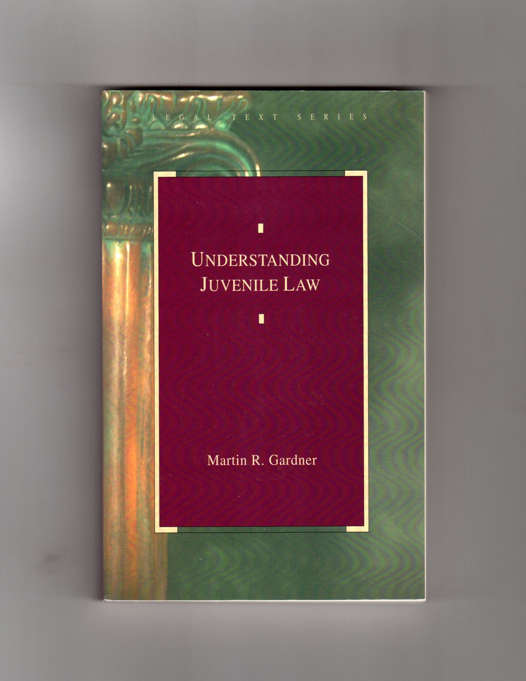 Understanding Juvenile Law (Legal Text Series),Used