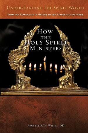Understanding the Spirit World,Used