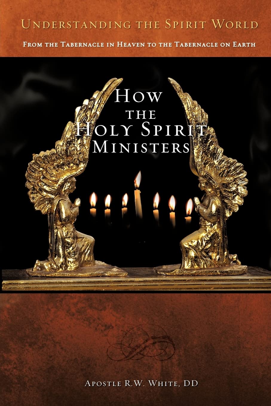 Understanding the Spirit World,Used