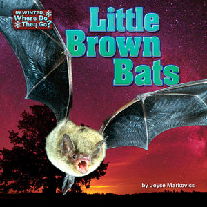 Little Brown Bats (In Winter, Where Do They Go?),Used