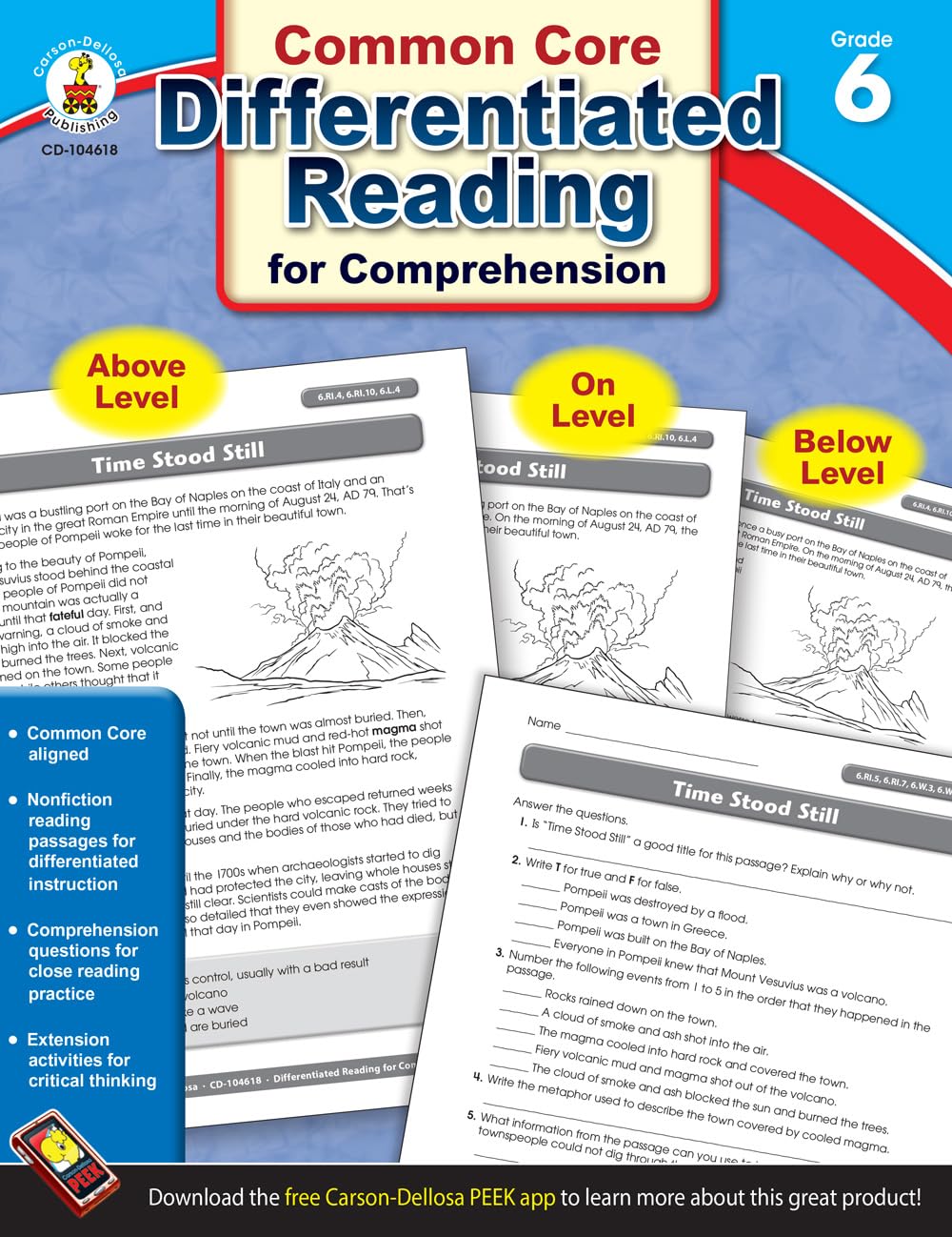 Carson Dellosa Differentiated Reading for Comprehension, Grade 6 Resource Book,Used