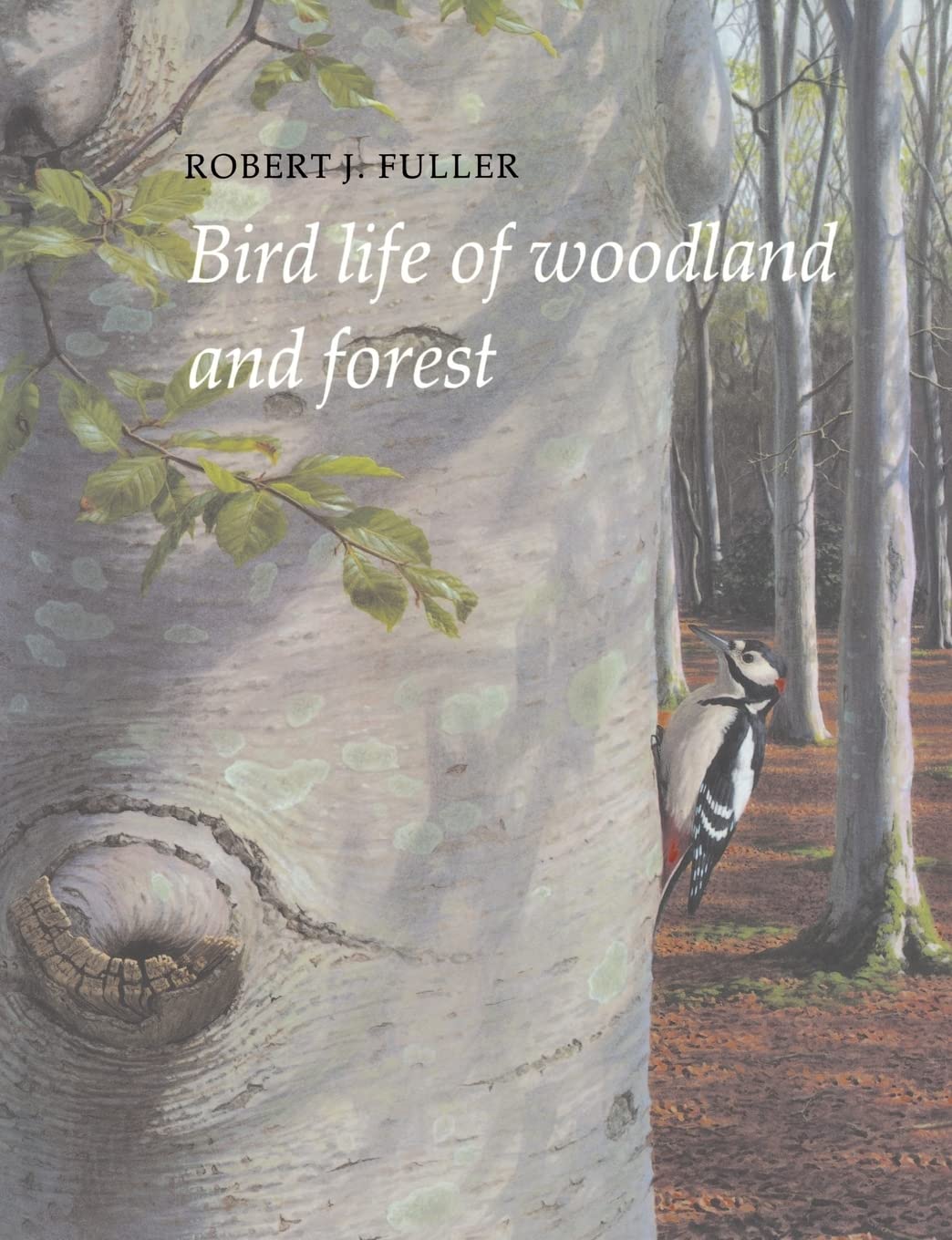 Bird Life of Woodland and Forest (Bird Life Series),Used