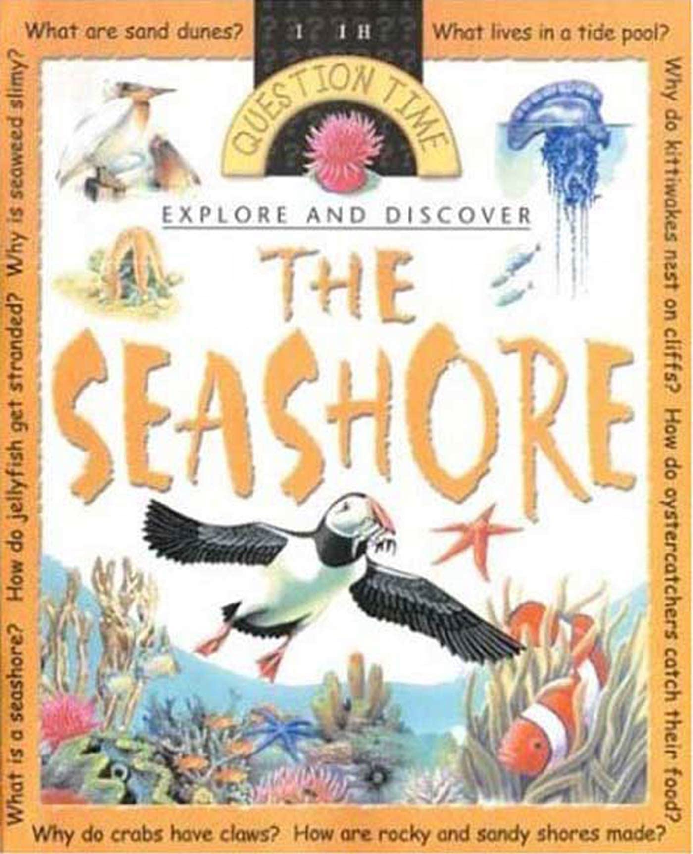 Explore and Discover: Seashore: Seashore (Question Time),Used