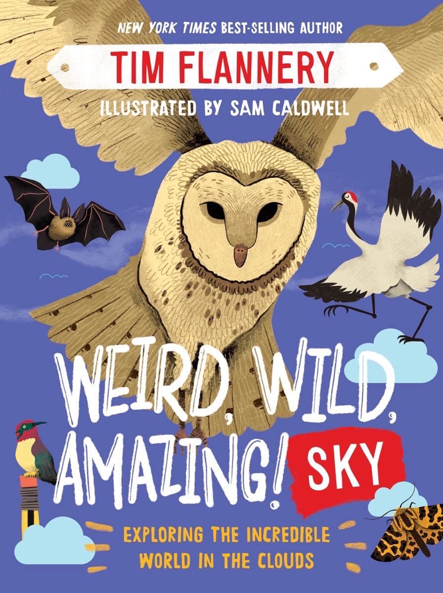 Weird, Wild, Amazing! Sky: Exploring The Incredible World In The Clouds,Used