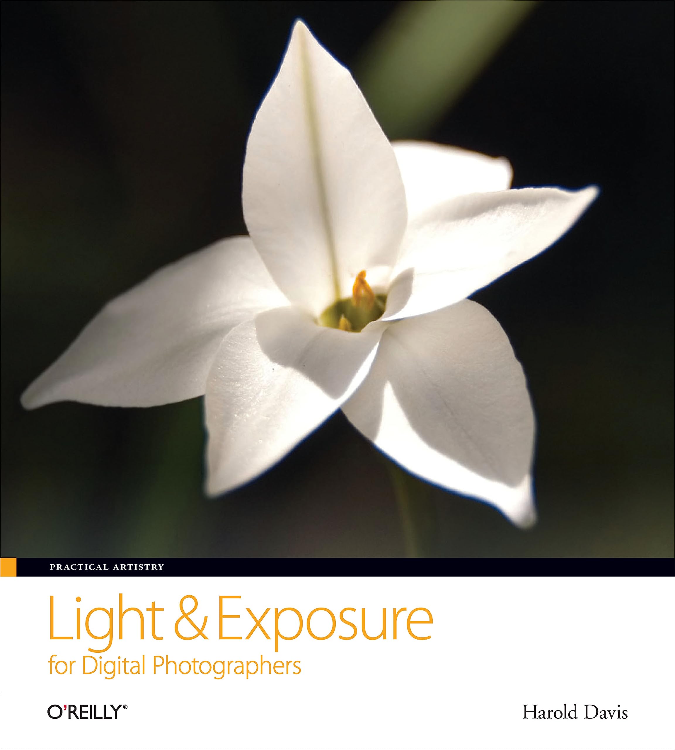 Practical Artistry: Light & Exposure of Digital Photographers,Used