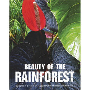 Beauty of the Rainforest: Discover the Magic of These Amazing and Precious Habitats,Used