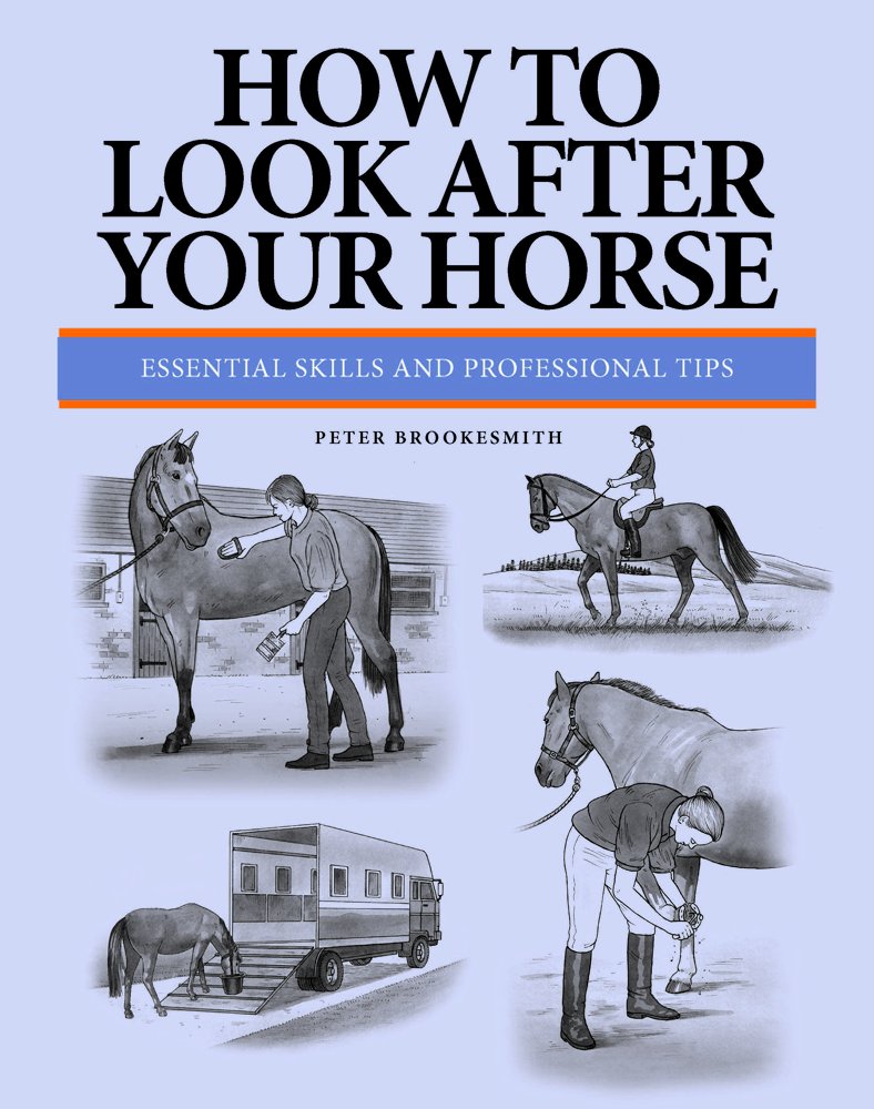 How To Look After Your Horse: Essential Skills And Professional Tips