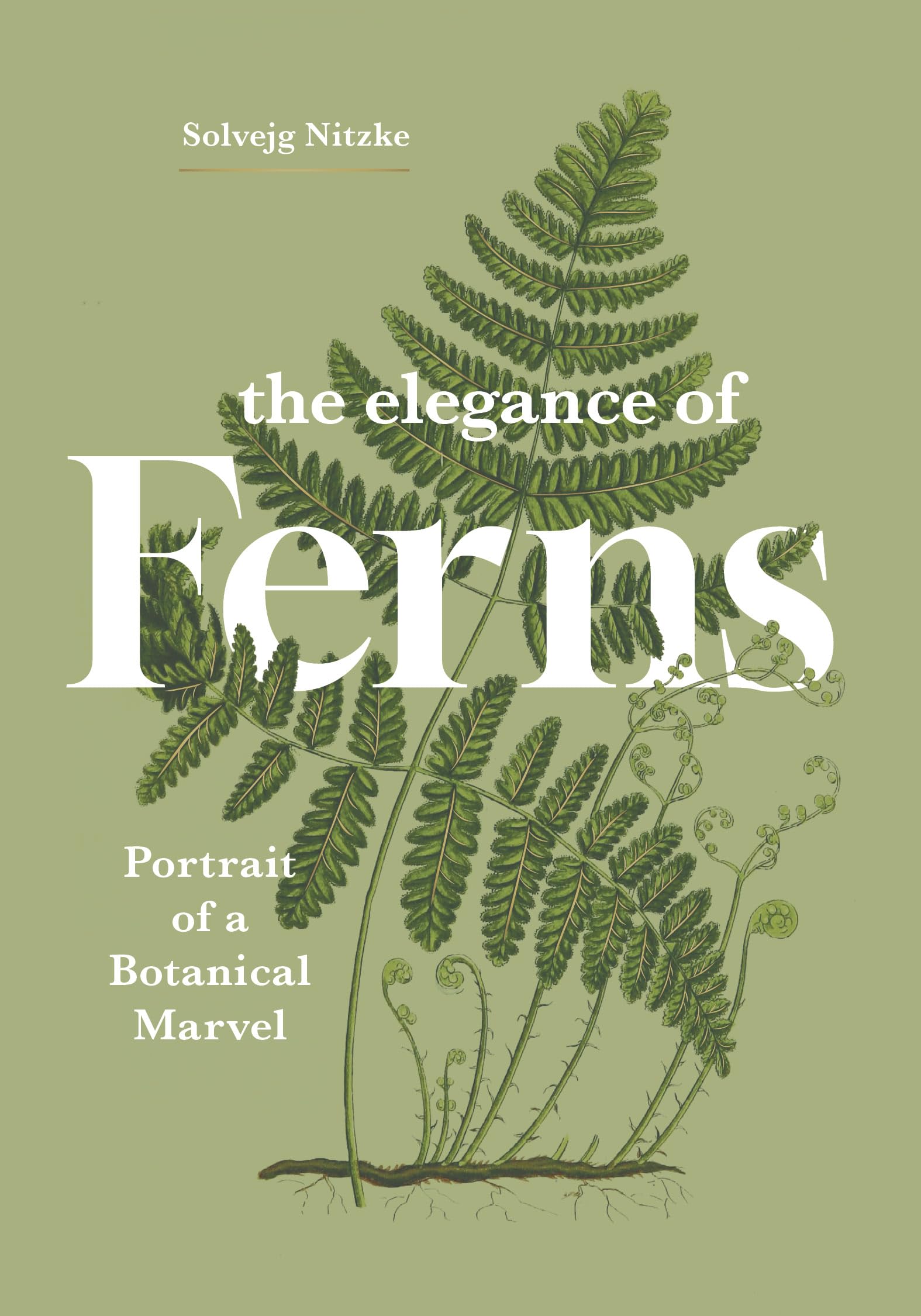 The Elegance Of Ferns: Portrait Of A Botanical Marvel (Marvels Of Nature, 3)