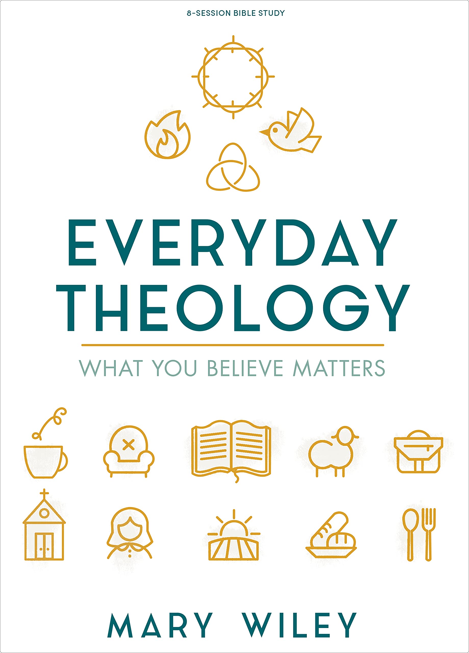 Everyday Theology  Bible Study Book: What You Believe Matters,Used