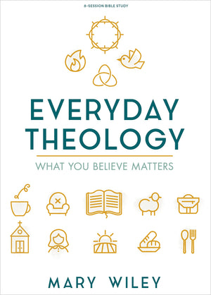 Everyday Theology  Bible Study Book: What You Believe Matters,Used