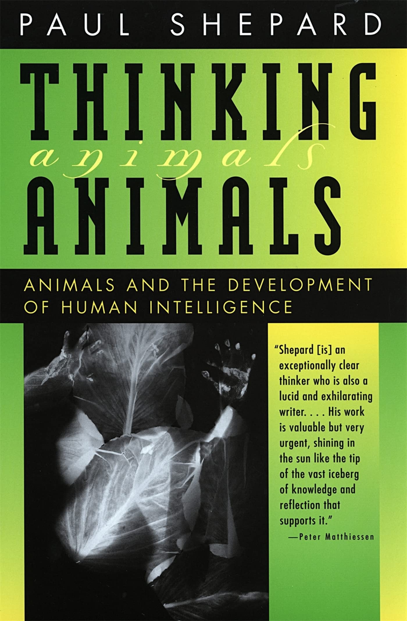 Thinking Animals: Animals And The Development Of Human Intelligence
