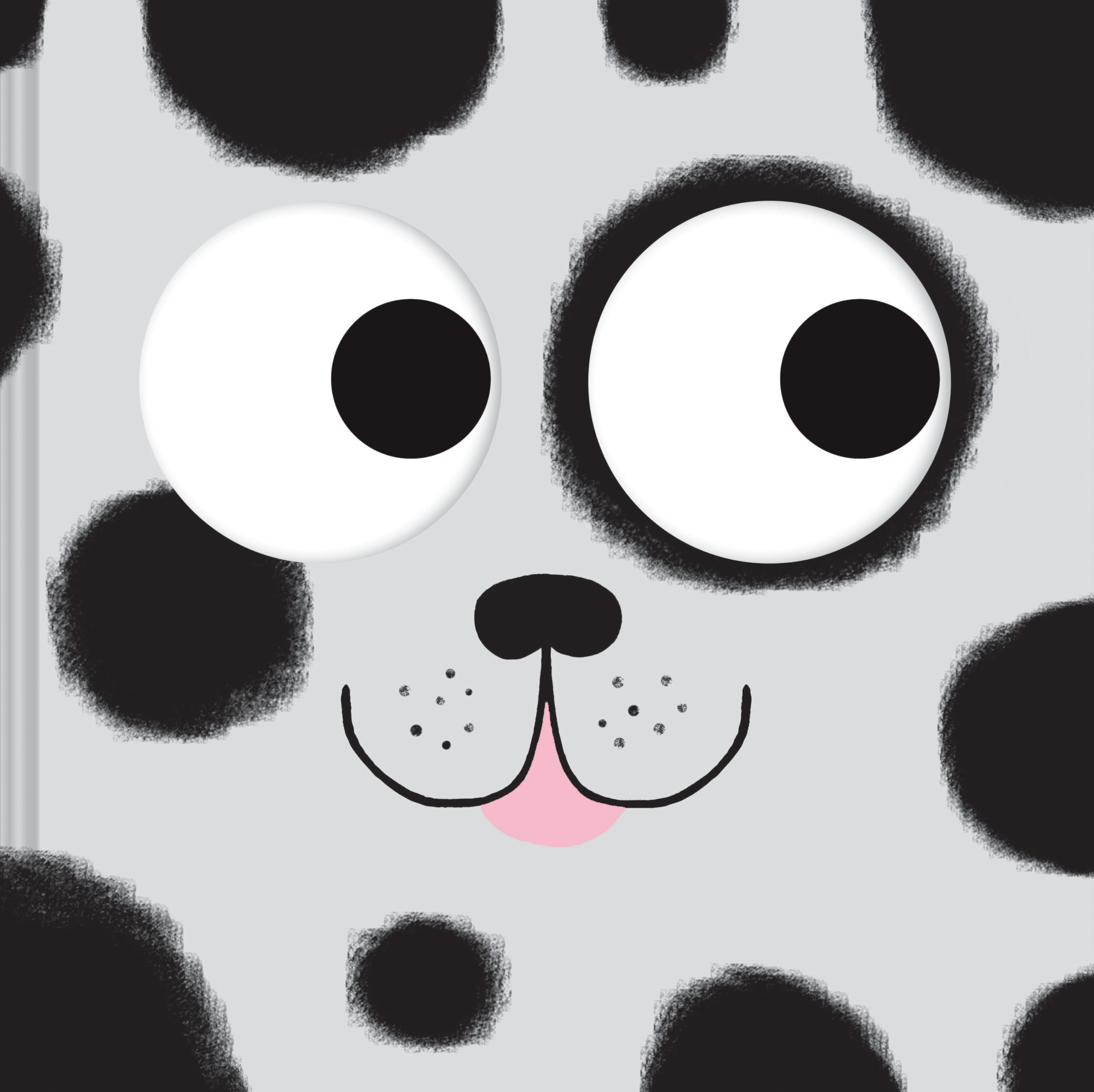 Catch Me: A SneakandFind Book (Search and Find Books for Kids, Interactive Dog Books for Kids, Interactive Toddler Book) (Find