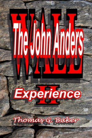 Wall Ii The John Anders Experience: The John Anders Experience,Used