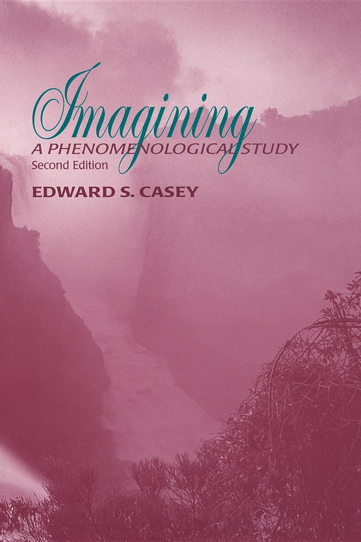 Imagining, Second Edition: A Phenomenological Study (Studies in Continental Thought),Used