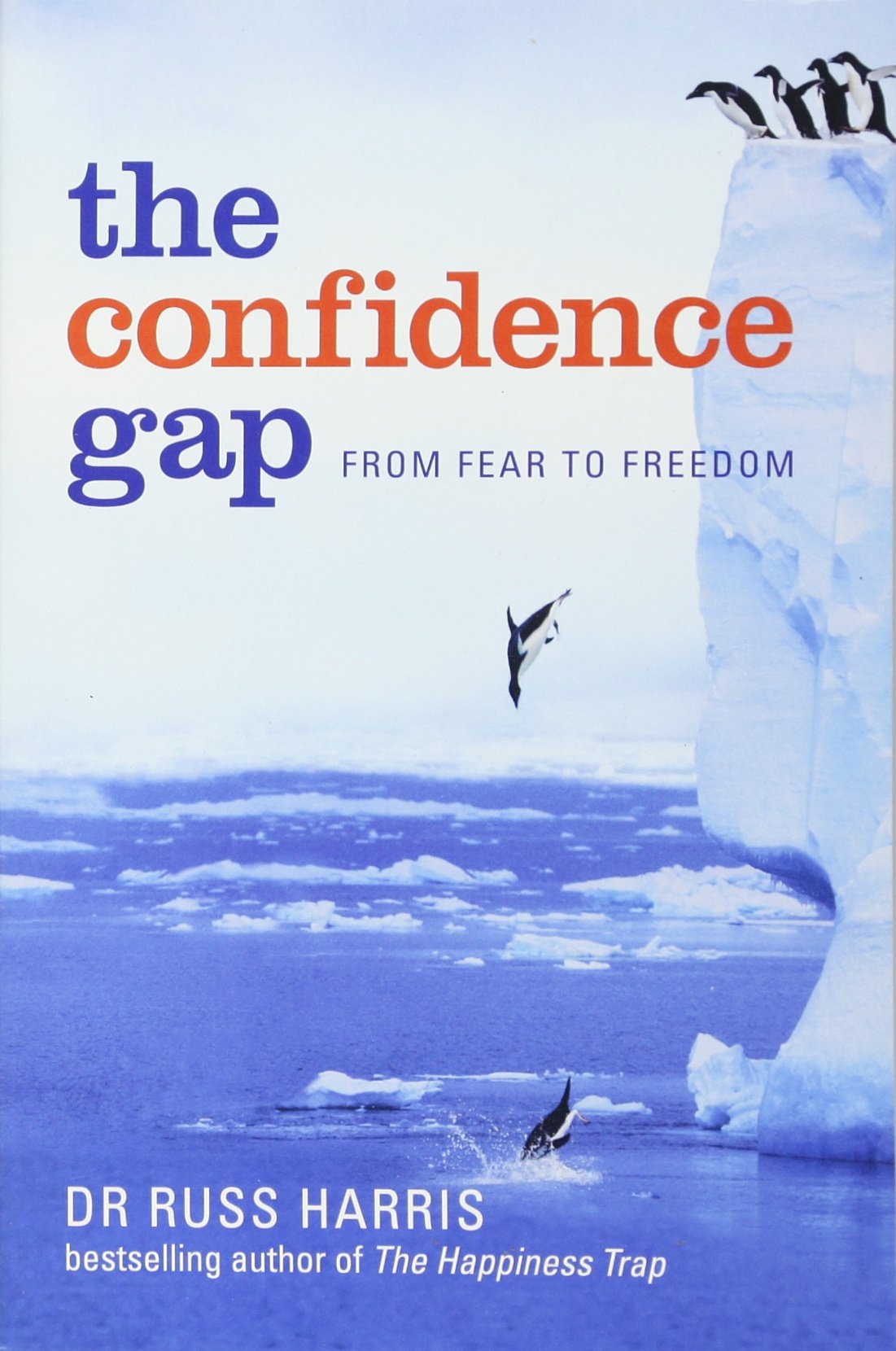Confidence Gap,Used