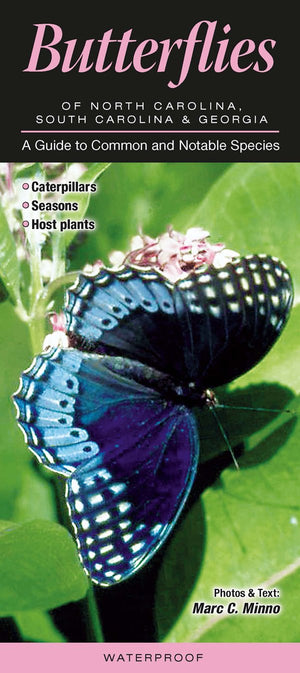 Butterflies Of North Carolina, South Carolina & Georgia: A Guide To Common & Notable Species (Common And Notable Species)
