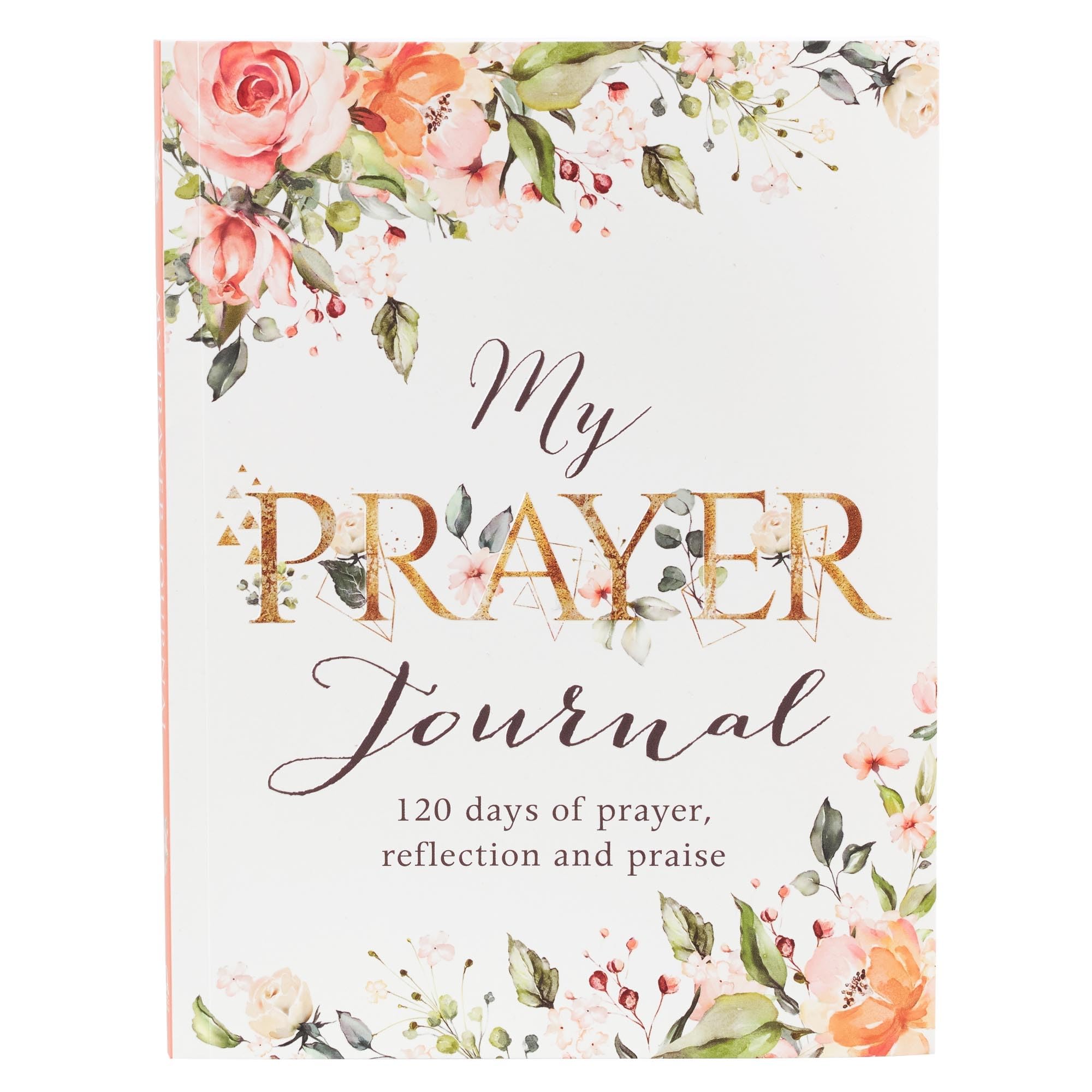 My Prayer Journal  120 Days of Prayer, Reflection and Praise,Used