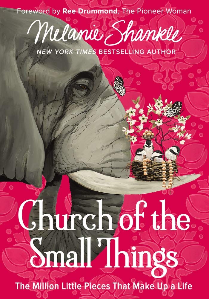 Church of the Small Things: The Million Little Pieces That Make Up a Life,Used