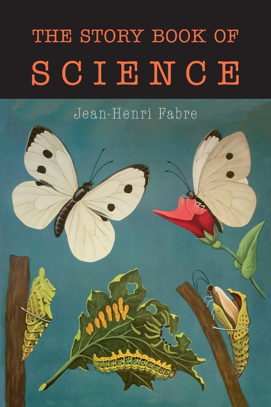 The Story Book of Science,Used