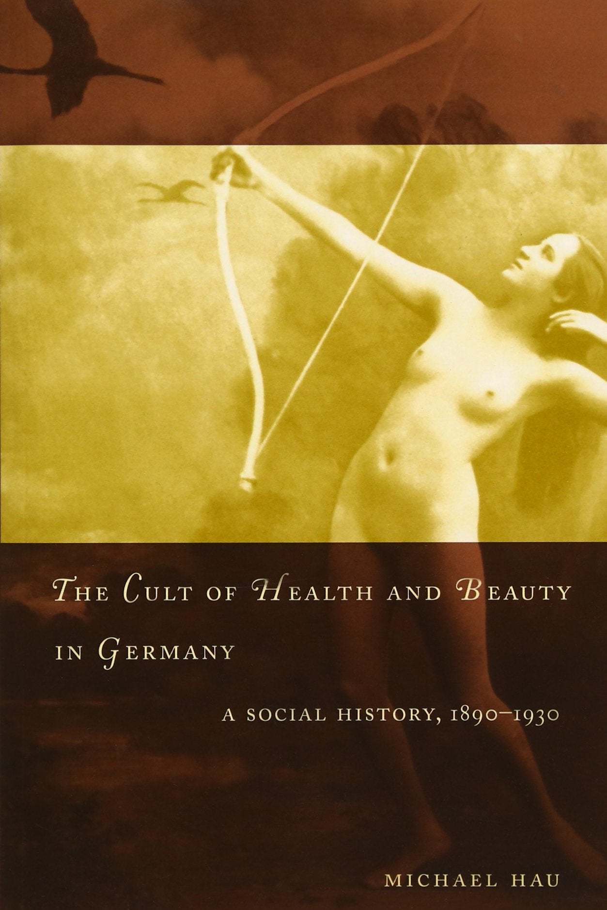 The Cult of Health and Beauty in Germany: A Social History, 18901930