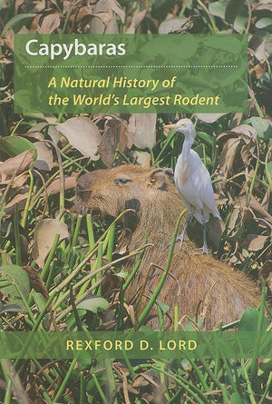 Capybaras: A Natural History of the World's Largest Rodent,Used