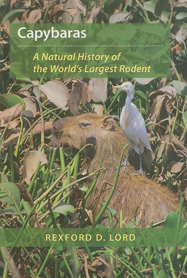 Capybaras: A Natural History of the World's Largest Rodent,Used