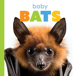 BABY BATS